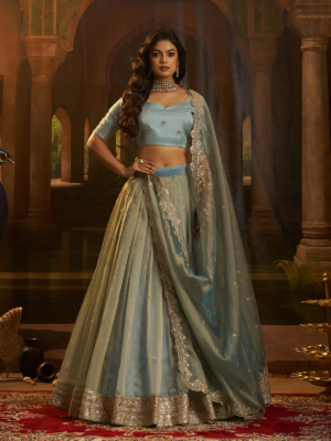 Beautiful Organza Lehenga (Semi-Stitched) with Sequins, Zari & Dori Embroidery