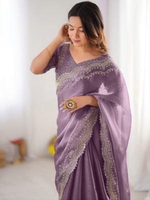 Designer Bollywood Embroidery Saree